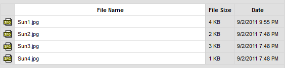 Panel souborů CKFinder v Seznamovém zobrazení